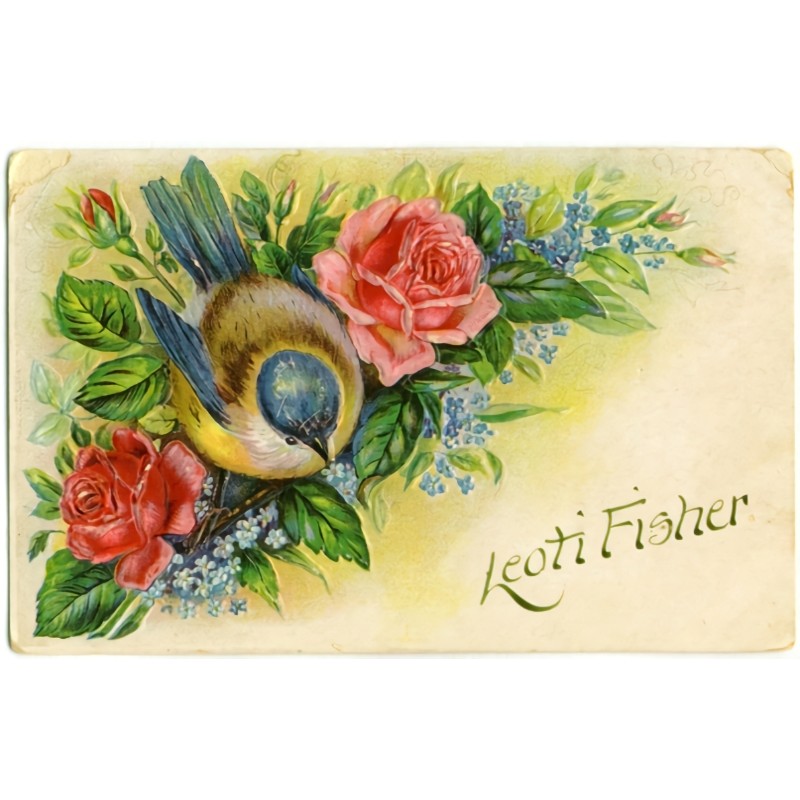 French Wired Ribbon - RB79 French Wired Ribbon - RB79